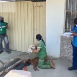 A tres años de cárcel y cumplir con 40 horas de trabajo comunitario se sentenció a un hombre por el delito de maltrato animal.