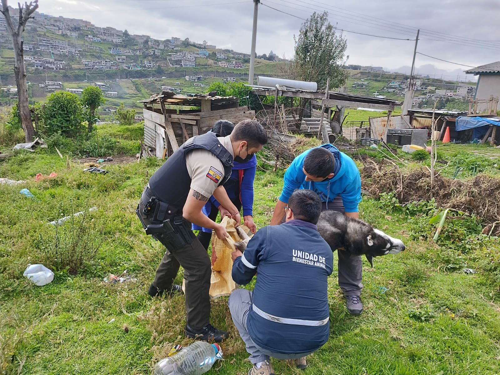 Mujer es sentenciada a tres años de carcel por matar a un perro en Quito