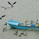 Pescadores de Jaramijó se han convertido en víctimas de la delincuencia y casi a diario sufren de delitos tanto en tierra como en el mar.