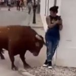 Una mujer pensó que al estar sin moverse en la esquina de una calle un toro no la embestiría, pero estaba totalmente equivocada.