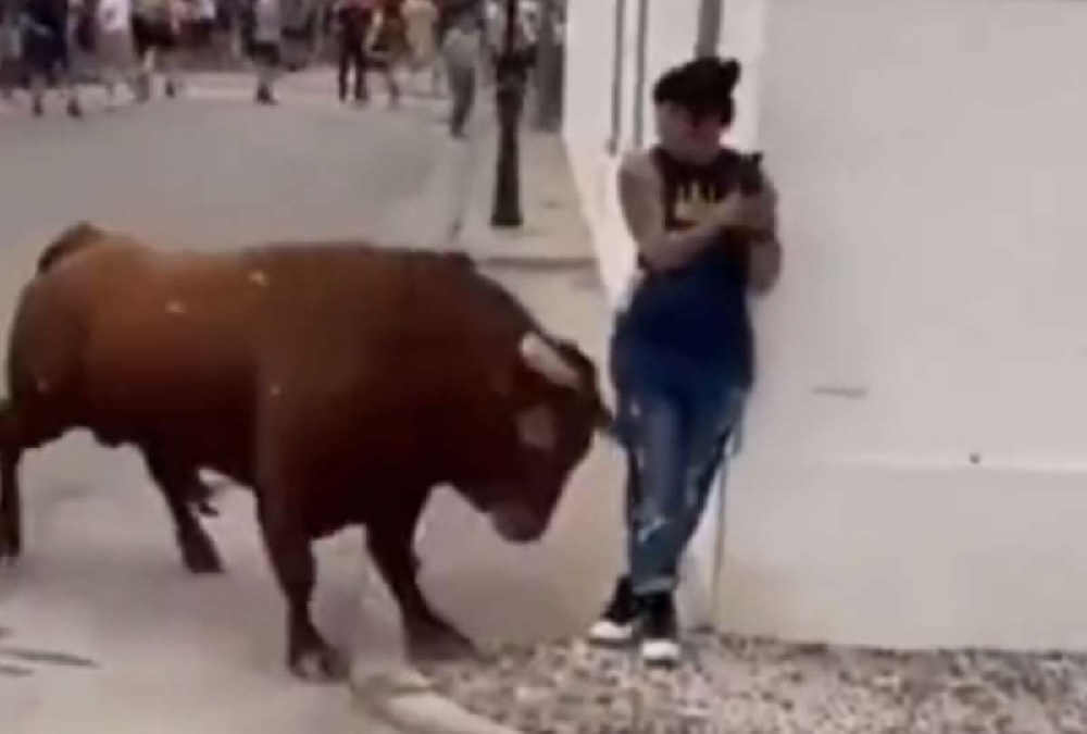 Una mujer pensó que al estar sin moverse en la esquina de una calle un toro no la embestiría, pero estaba totalmente equivocada.