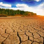 Cambio climático mil millones de muertes