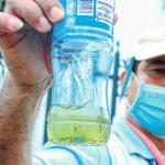Casos de dengue grave van en aumento en Manabí