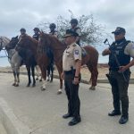 Los sacapintas han atacado en los últimos días y el último robo se registró dentro de un bus de servicio urbano.