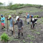 En Ecuador las lluvias se alejan, según representantes del Comité Nacional para el Estudio del Fenómeno de El Niño (Erfen).