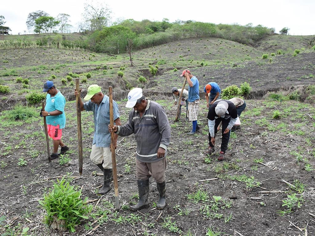 En Ecuador las lluvias se alejan, según representantes del Comité Nacional para el Estudio del Fenómeno de El Niño (Erfen).