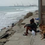 El asesinato de un hombre registrado en pleno centro de Manta, en Manabí, involucró también a tres perritos.