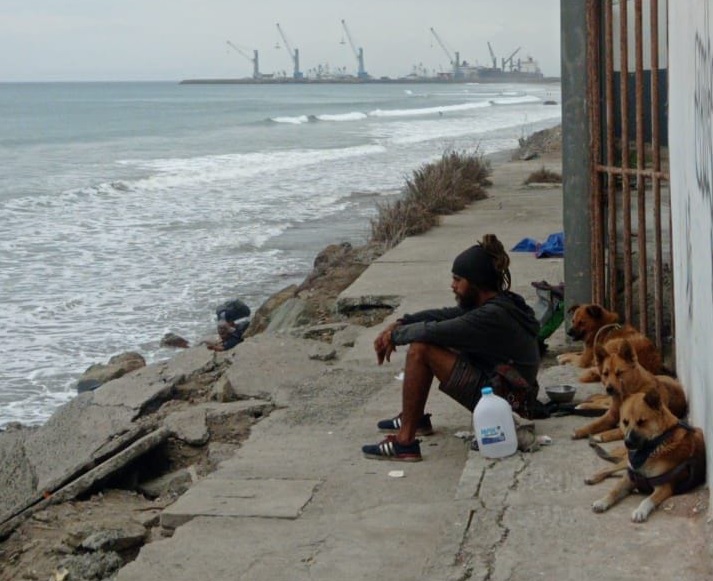 El asesinato de un hombre registrado en pleno centro de Manta, en Manabí, involucró también a tres perritos.