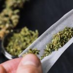 El consumo de marihuana puede aumentar el riesgo de sufrir insuficiencia cardíaca, ataque o derrame cerebral o ataque cardíaco.