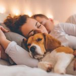 Mujeres duermen mejor con su perro que con su pareja, según estudio