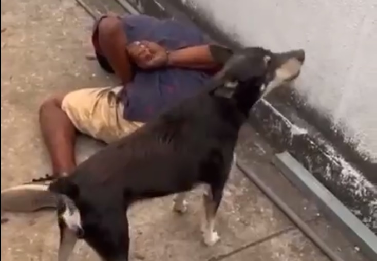 Un perro color negro no se apartaba de un hombre, quien permanecía tirado en el suelo y esposado de las manos.