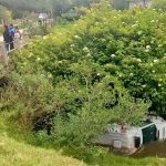 Una ambulancia del IESS cayó al río Tarqui en Cuenca