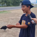 Juan y su peculiar mascota: un gallinazo llamado Simón