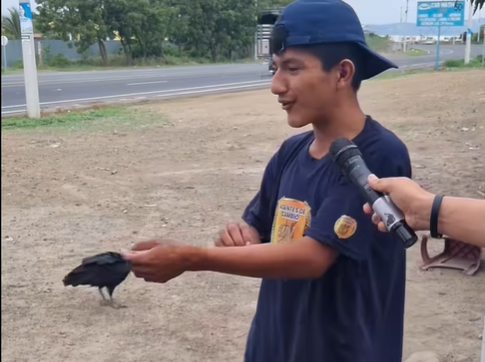 Juan y su peculiar mascota: un gallinazo llamado Simón