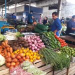 Los diferentes productos provenientes de la Sierra llegaron con normalidad al mercado mayorista, en Portoviejo.