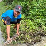 Un caimán de anteojos apareció en el río Portoviejo