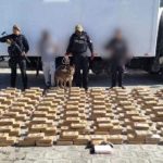 Un camión que cubría la ruta Tulcán-Quito fue retenido por la Policía y en su interior se encontró media tonelada de droga.