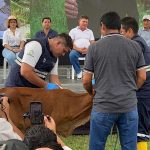 campaña nacional fiebre aftosa