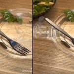 Encuentra una babosa en su ensalada