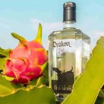 La pitahaya manabita se ha internacionalizado gracias a un licor elaborado a base de este fruto que se cosecha en Rocafuerte.