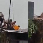Una intervención policial registrada en Santo Domingo de los Tsáchilas terminó con un techo de zinc destruido y un video que se viralizó en redes.