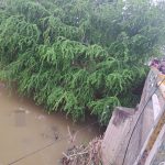 Encuentran restos humanos en flotando en el río