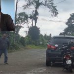 Cantante de Santo Domingo muere en accidente2