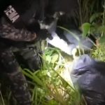 En una finca de la parroquia Canoa del cantón San Vicente, en la provincia de Manabí, la Policía incautó un cargamento de droga.