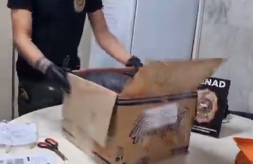Un cargamento de droga que salió desde Guayaquil, en Ecuador, fue detectado por agentes de la Policía Nacional de España.