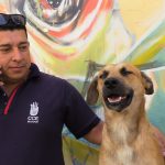 perro la casa de la cultura