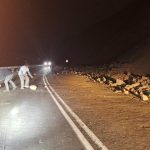 terremoto chile