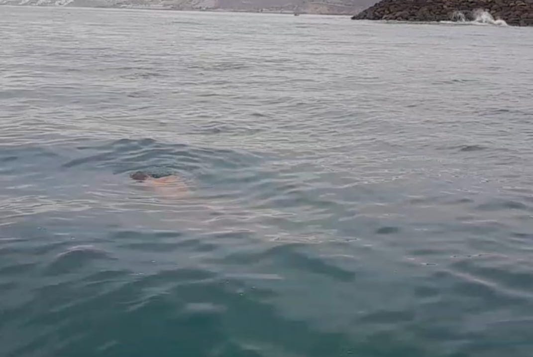 Cuerpo flotando en rada del muelle de San Mateo, en Manta