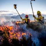 En lo que va del del año 2024 se han registrado un total de 120 incendios forestales en Portoviejo, capital de los manabitas.