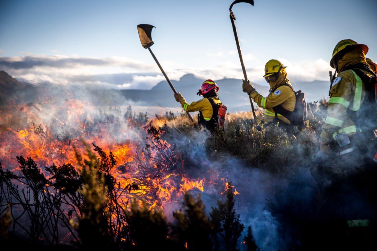 En lo que va del del año 2024 se han registrado un total de 120 incendios forestales en Portoviejo, capital de los manabitas.