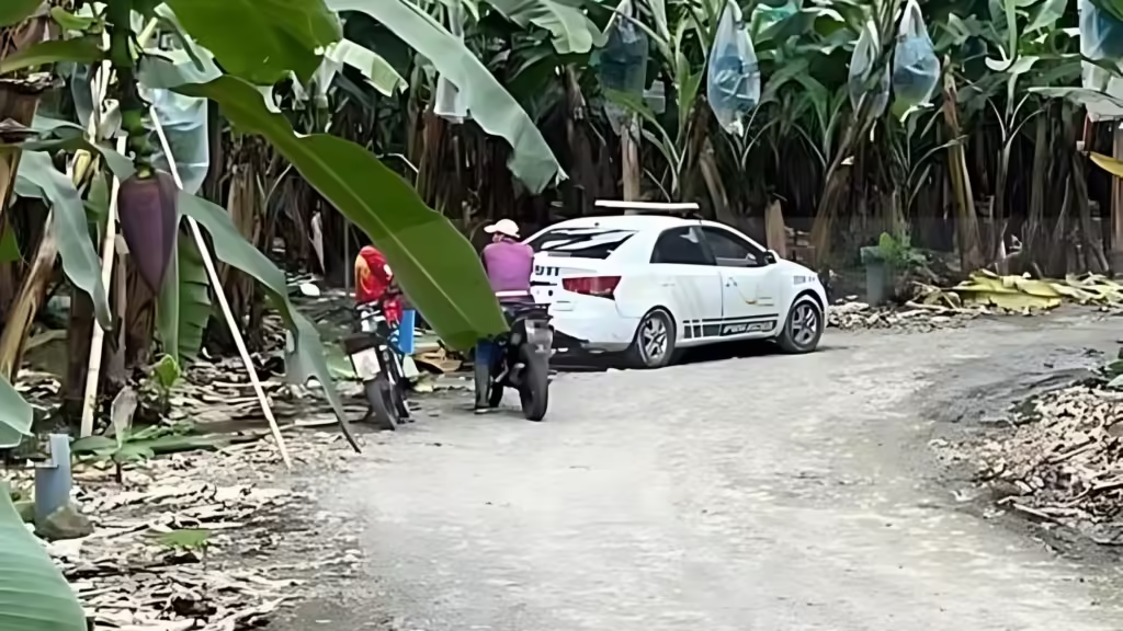 tres cuerpos sin vida en hacienda bananera de Santa Rosa