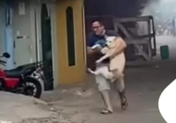 rescatan a un perro en medio de incendio Manta