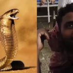 Serpiente venenosa muere después de que un hombre la mordiera