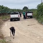 Un hombre degollado estaba en un basurero de Machala