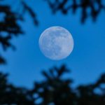 Superluna esturión