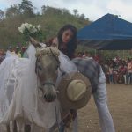 Elegirán a la burra más bonita en San Vicente, Manabí