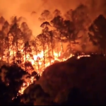 Incendio forestal arrasa con hectáreas de bosques en Quilanga, Loja