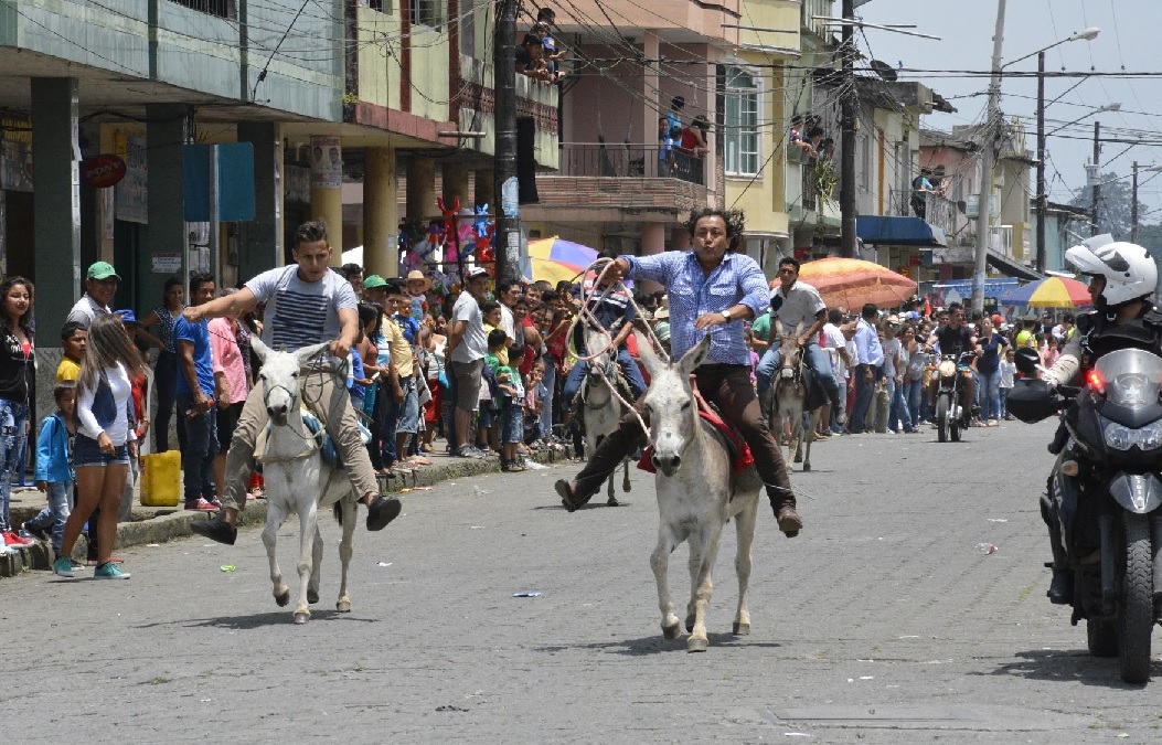 La tradicional carrera de burros que se desarrolla en Santo Domingo de los Tsáchilas presenta varios cambios este año.