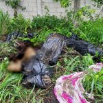 hallan cuerpos en descomposición en Manglaralto