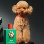Marca de lujo promociona el perfume para perros Fefé.