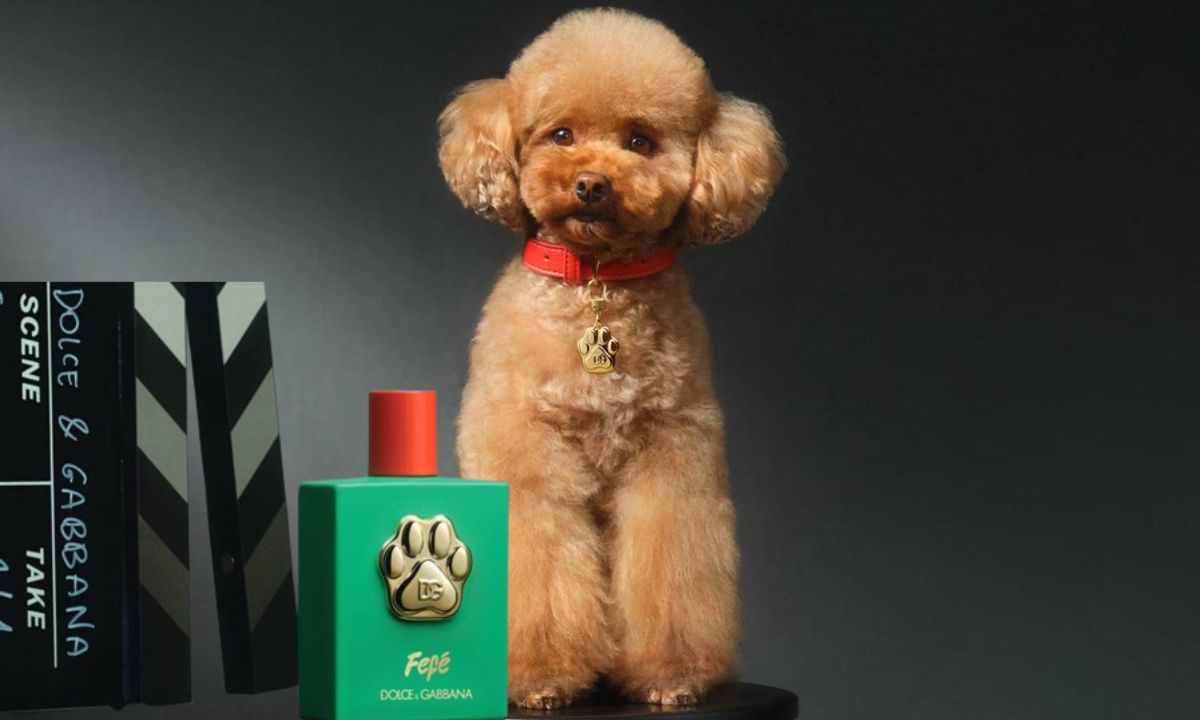 Marca de lujo promociona el perfume para perros Fefé.