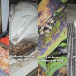 Local de parrilladas es clausurado por insalubridad