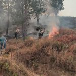 Un incendio forestal mantiene la tensión de las autoridades de la provincia de Loja y también las nacionales.