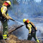Un total de 25 incendios forestales se han detectado en diferentes provincias del país este sábado 31 de agosto del 2024.