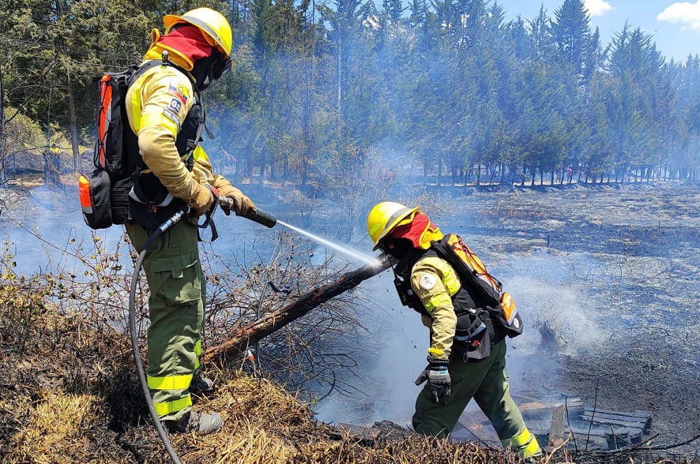 Un total de 25 incendios forestales se han detectado en diferentes provincias del país este sábado 31 de agosto del 2024.