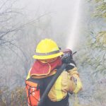 incendios forestales